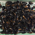 Penjualan panas makanan laut segar IQF beku harga Blue Mussel